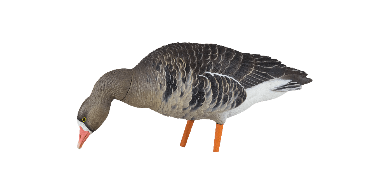 Avian-X Lockgänse AXF Fusion Blessgänse
