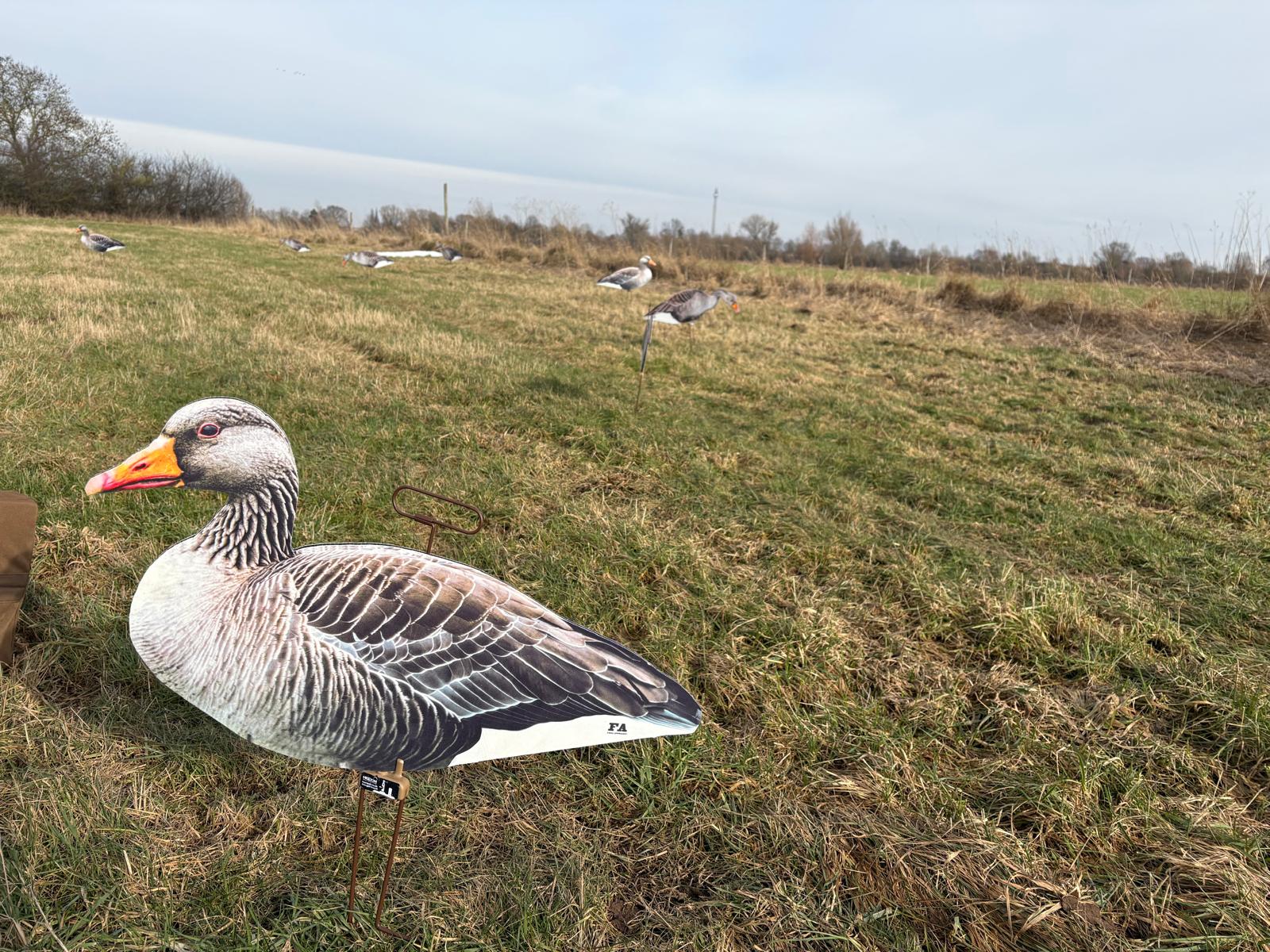 FA Lockgänse Set Graugans Silhouetten beflockt