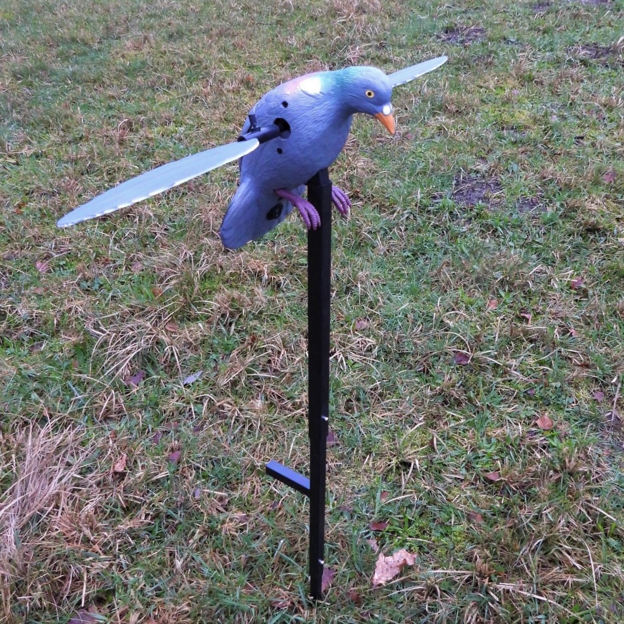 elektronische Locktaube Spinning Wing Pigeon