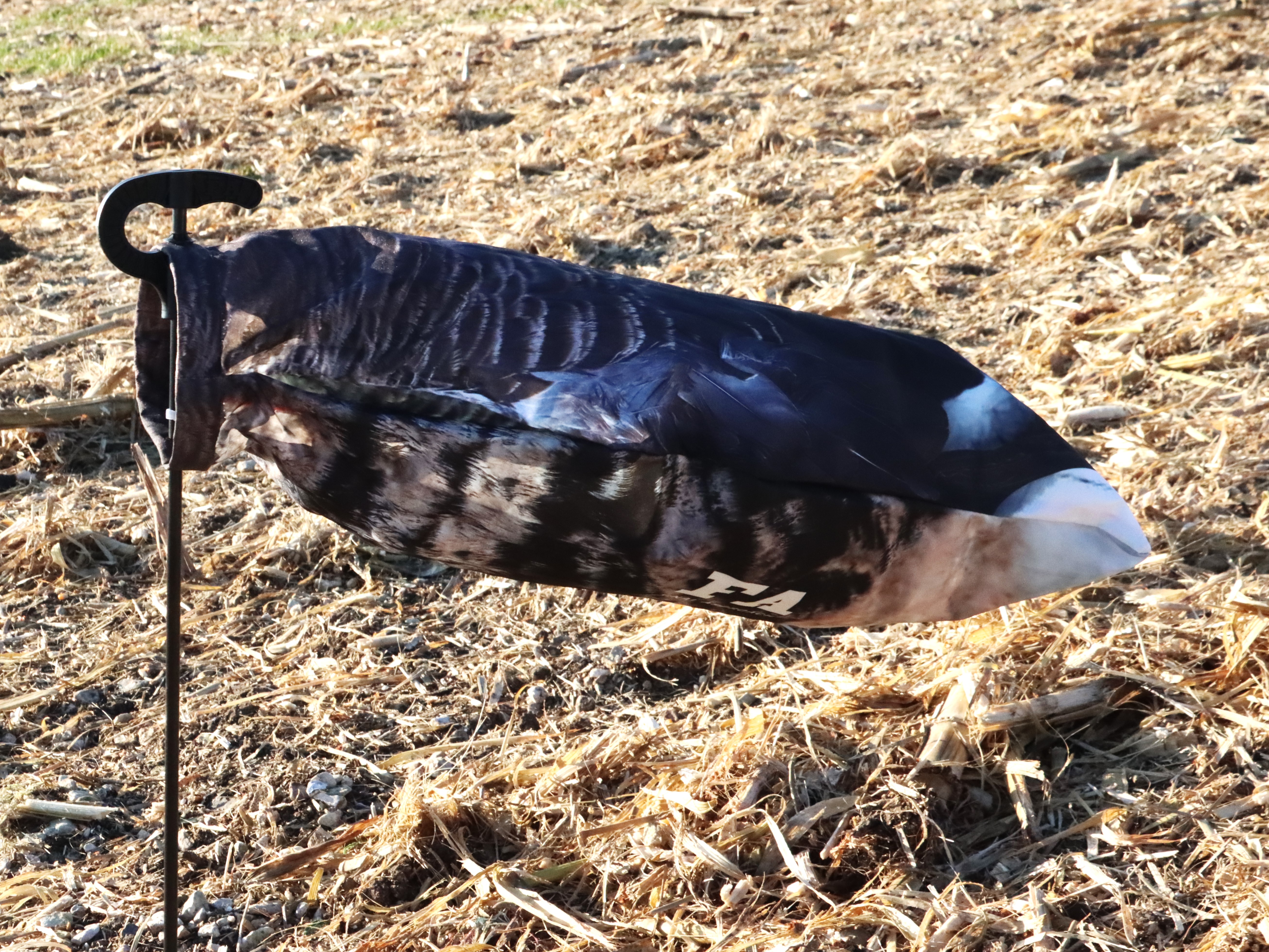 GREYLAG SOCKS WITH HEADS