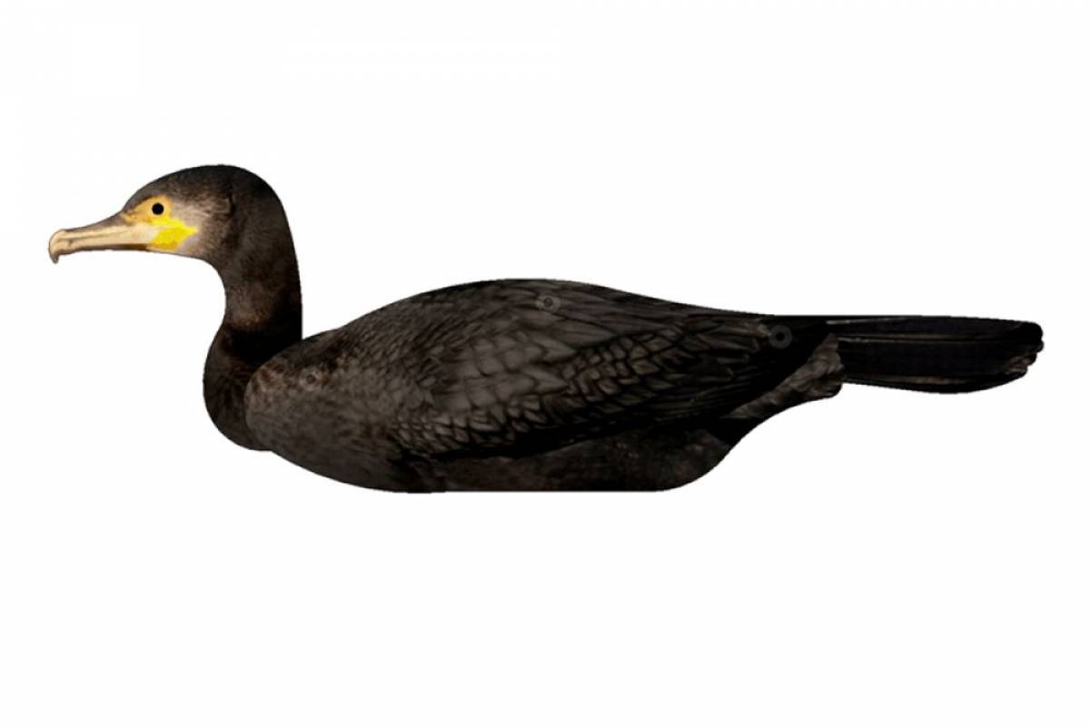 FUD Kormoran Decoy von NRA