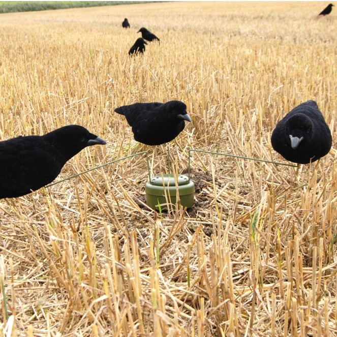 Lucky Duck Krähenmagnet mit 3 beflockten Krähen