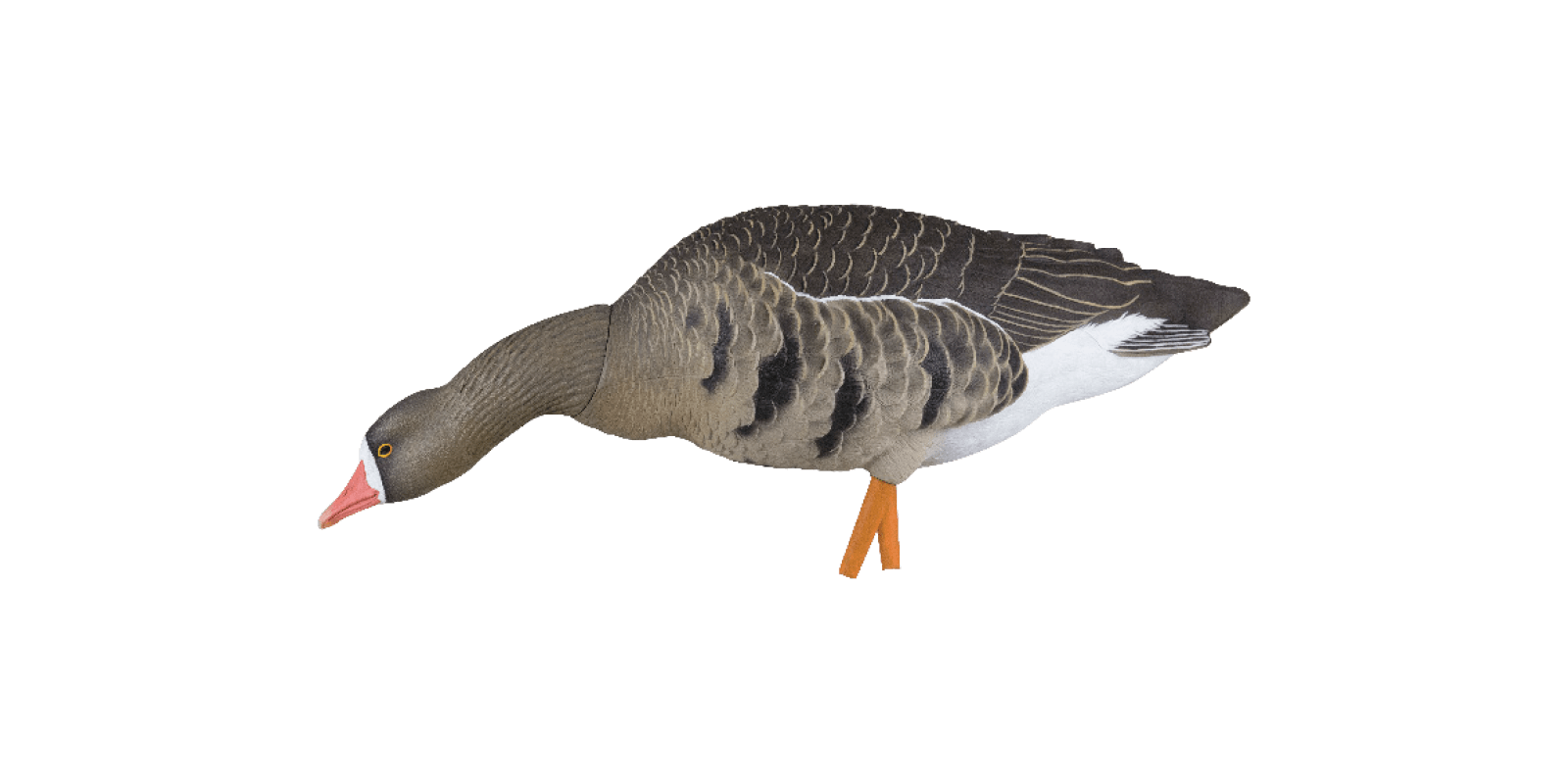Avian-X Lockgänse AXF Fusion Blessgänse