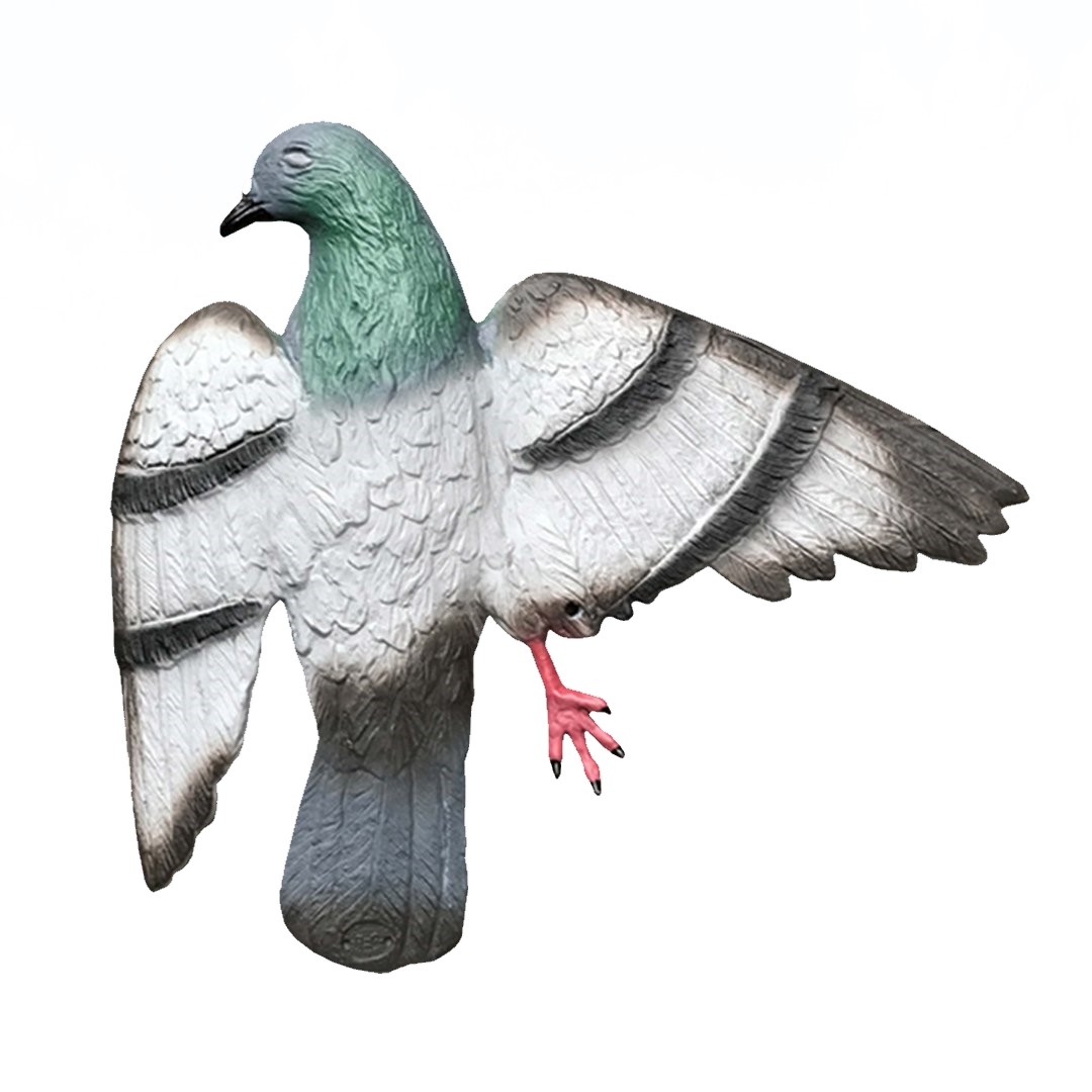 Sport Plast Locktaube Dead Pigeon Decoy