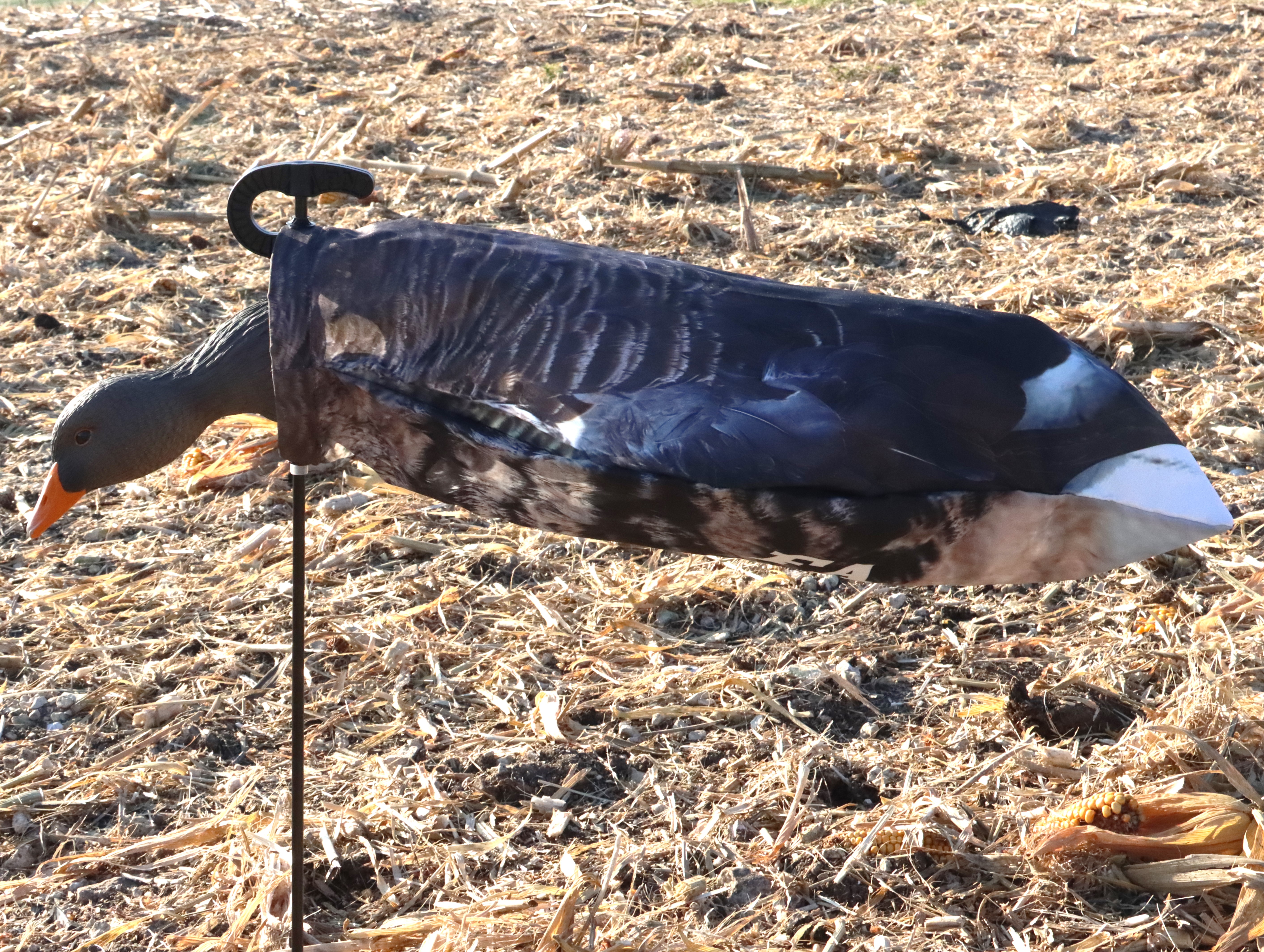 GREYLAG SOCKS WITH HEADS