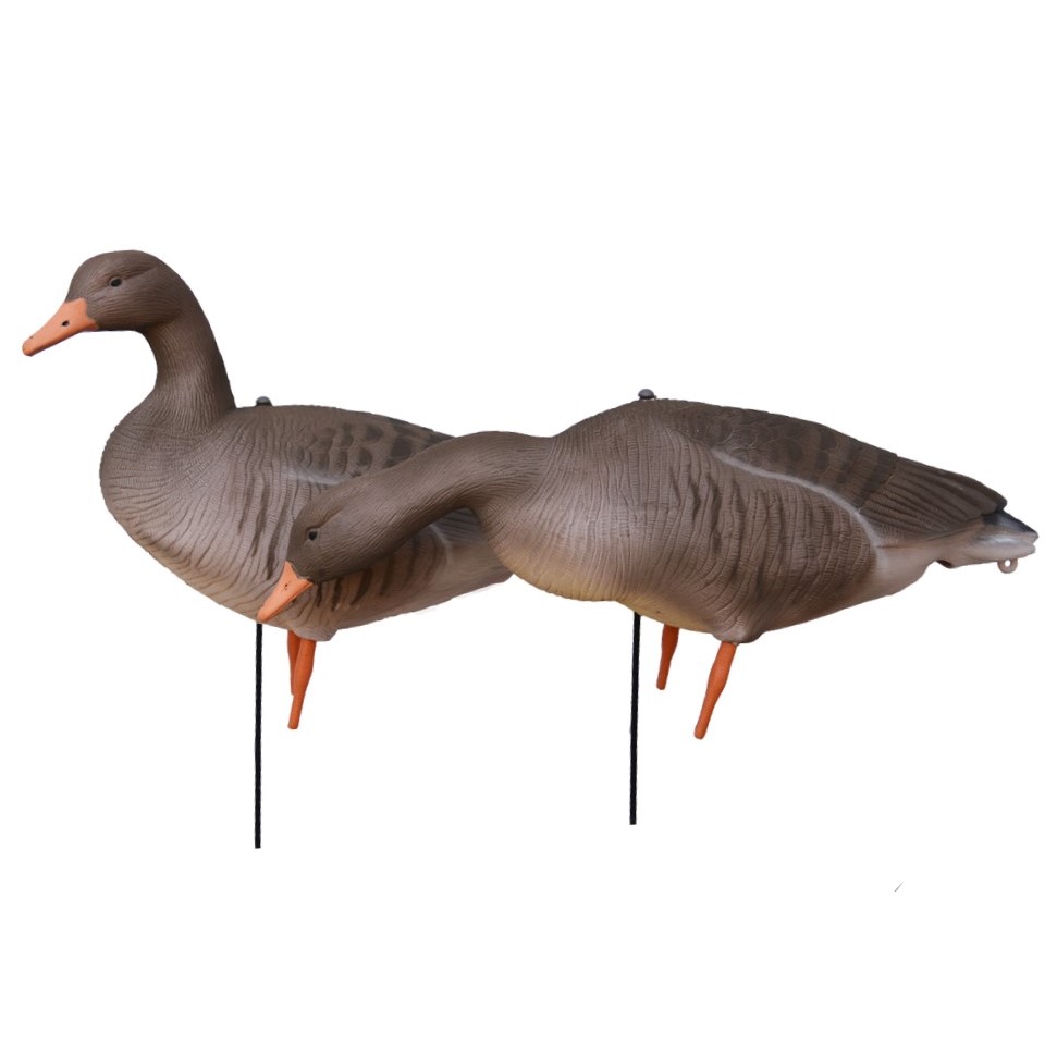 Prodecoys Lockgänse Set Greylag Vollkörper beflockt