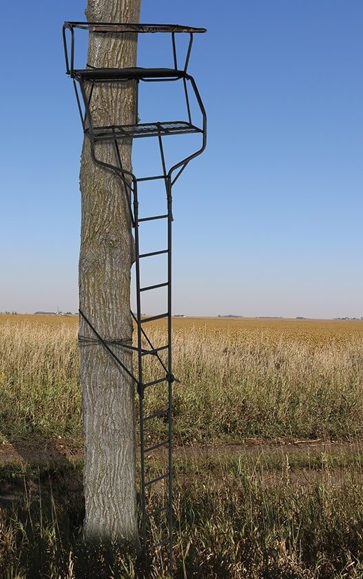 Biggame Ansitzleiter Guradian XLT