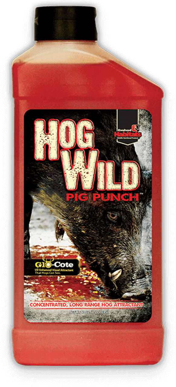 Evolved Sauen Lockmittel Hog Wild Big Punch