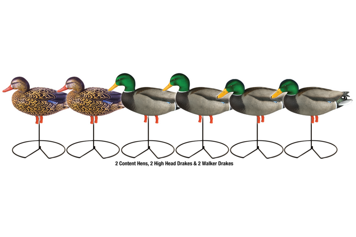 Das Harvester Pack Stockenten Lockenten vom amerikanischen Hersteller Greenhead Gear beinhaltet vier Vollköper Erpel mit beflocktem Kopf und zwei Vollkörper Enten.