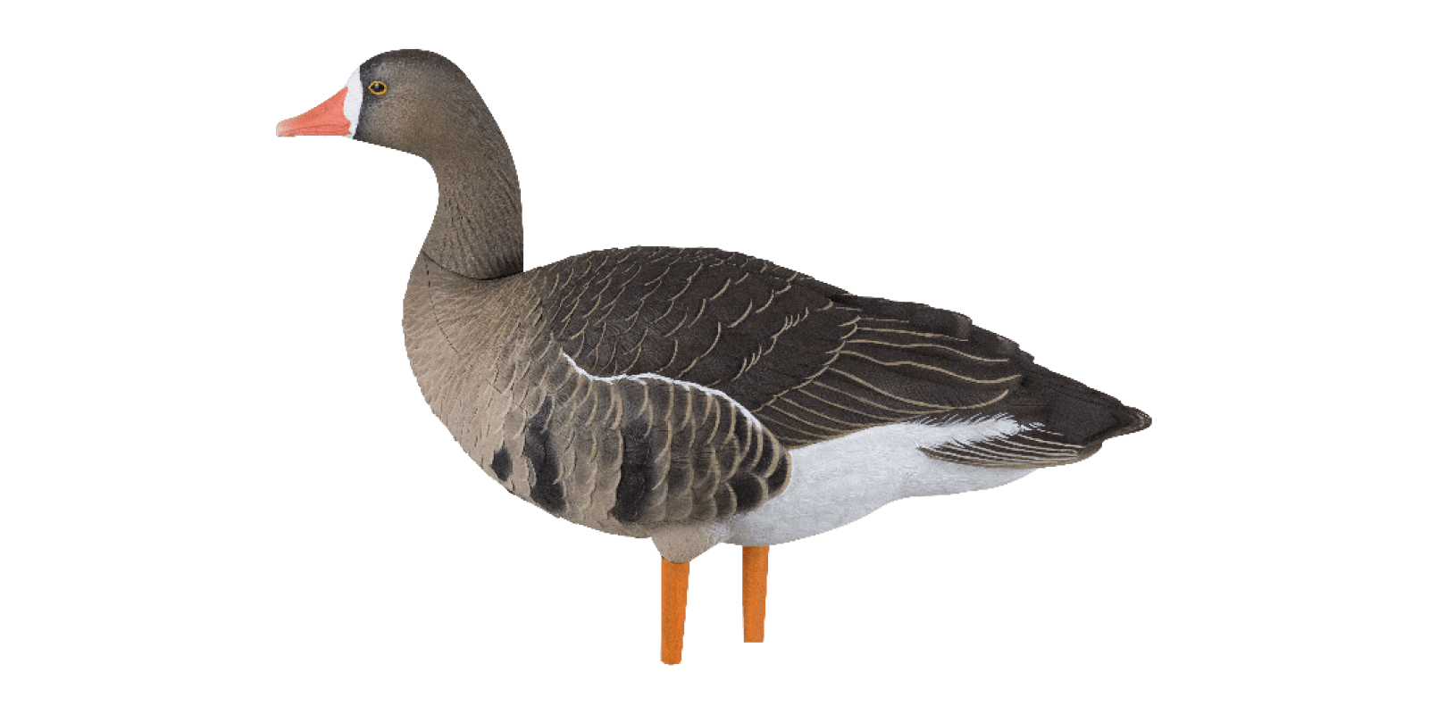 Avian-X Lockgänse AXF Fusion Blessgänse