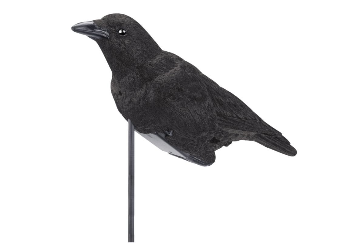 Lucky Duck Elektronischer Krähenlocker Cawling Crow