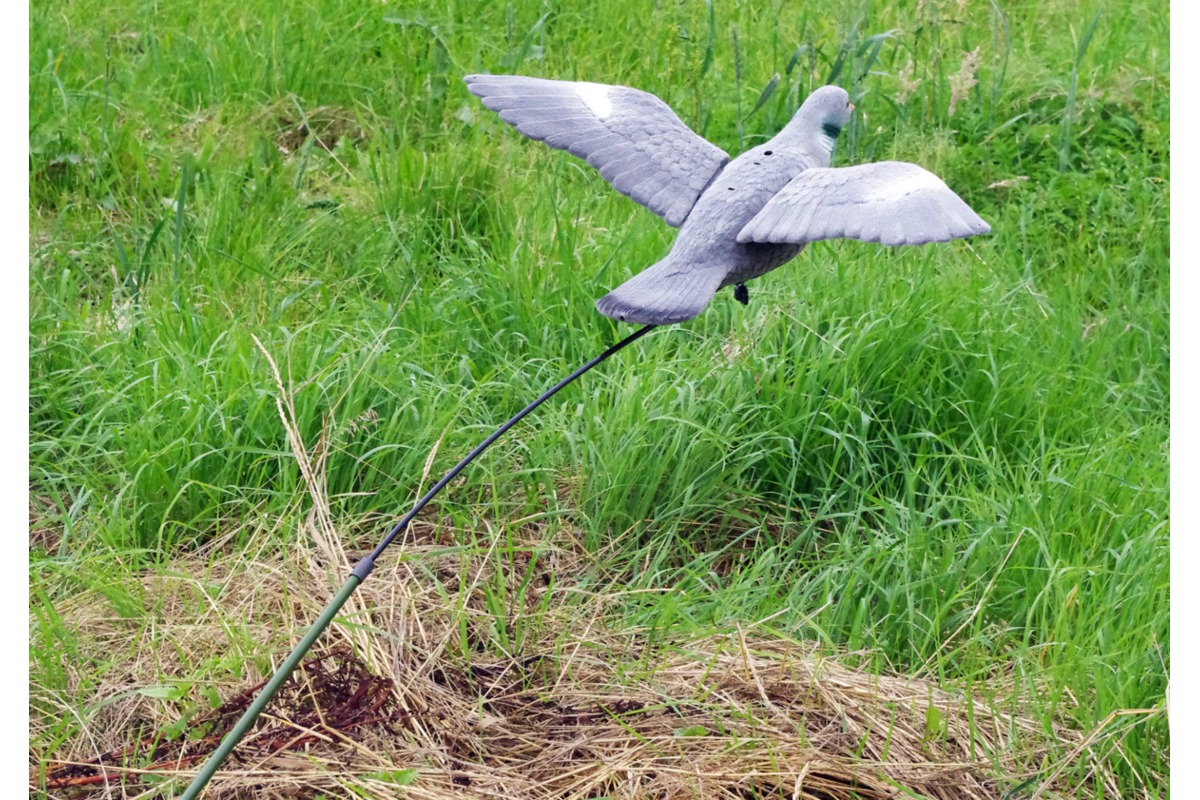 Gleiter für fliegende Lockvögel Clever Hunting mit fliegender Taube