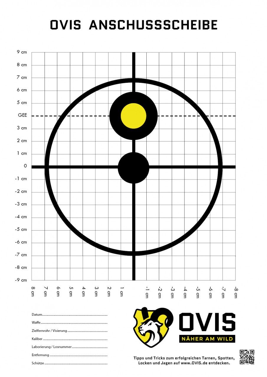 anschussscheibe-100-m-pdf-download